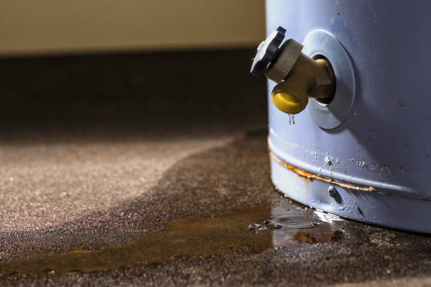 Best Local water damage restoration  in Mount Sterling, IL