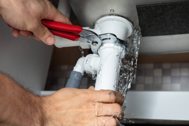 Best Flooded house restoration  in Mount Sterling, IL