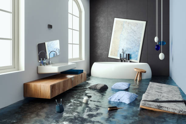 Best Residential water damage restoration  in Mount Sterling, IL