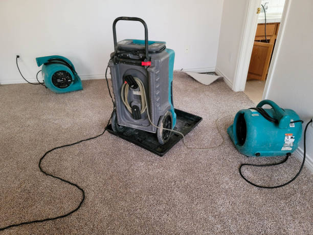 Water damage restoration process in Mount Sterling, IL
