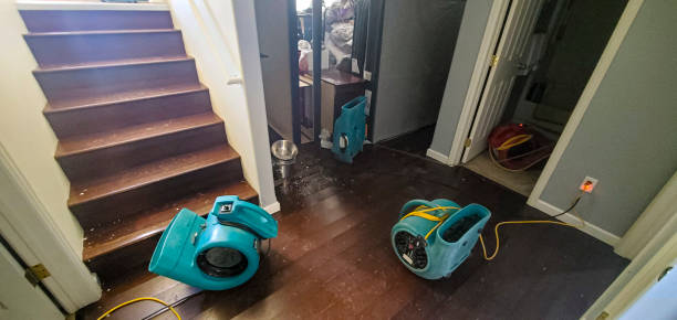 Best Local water damage restoration  in Mount Sterling, IL