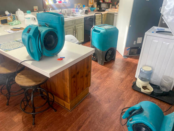 Best Carpet water damage restoration  in Mount Sterling, IL