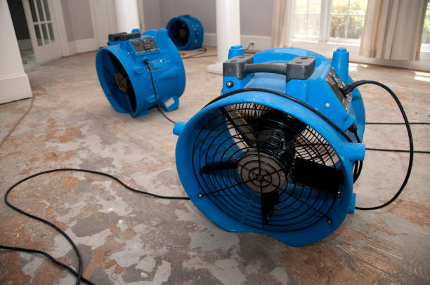 Best Water damage contractors near me  in Mount Sterling, IL