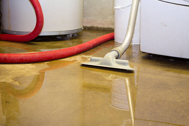 Best Flood restoration services  in Mount Sterling, IL