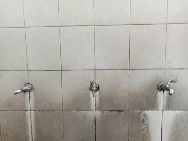 Best Water damage restoration near me  in Mount Sterling, IL