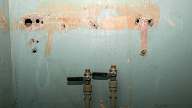 Best Water damage contractors near me  in Mount Sterling, IL