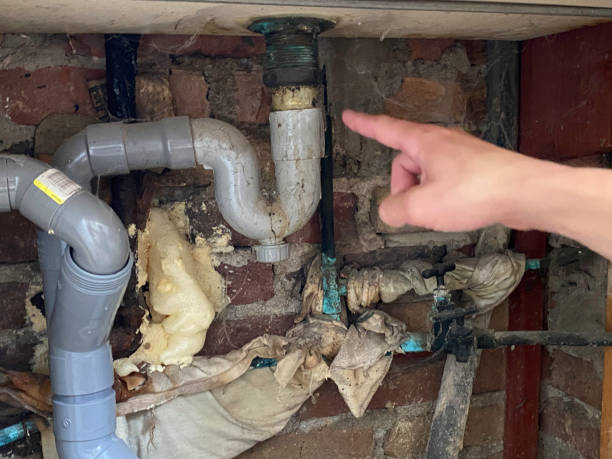 Best Water damage restoration mold remediation  in Mount Sterling, IL