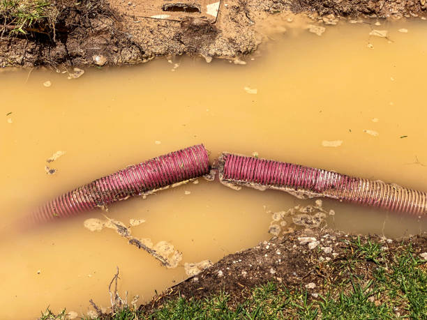 Best Commercial water damage restoration  in Mount Sterling, IL