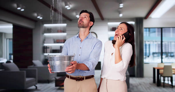 Trusted Mount Sterling, IL Water damage restoration Experts