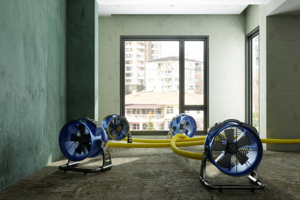 Best Fire Damage Restoration  in Mount Sterling, IL
